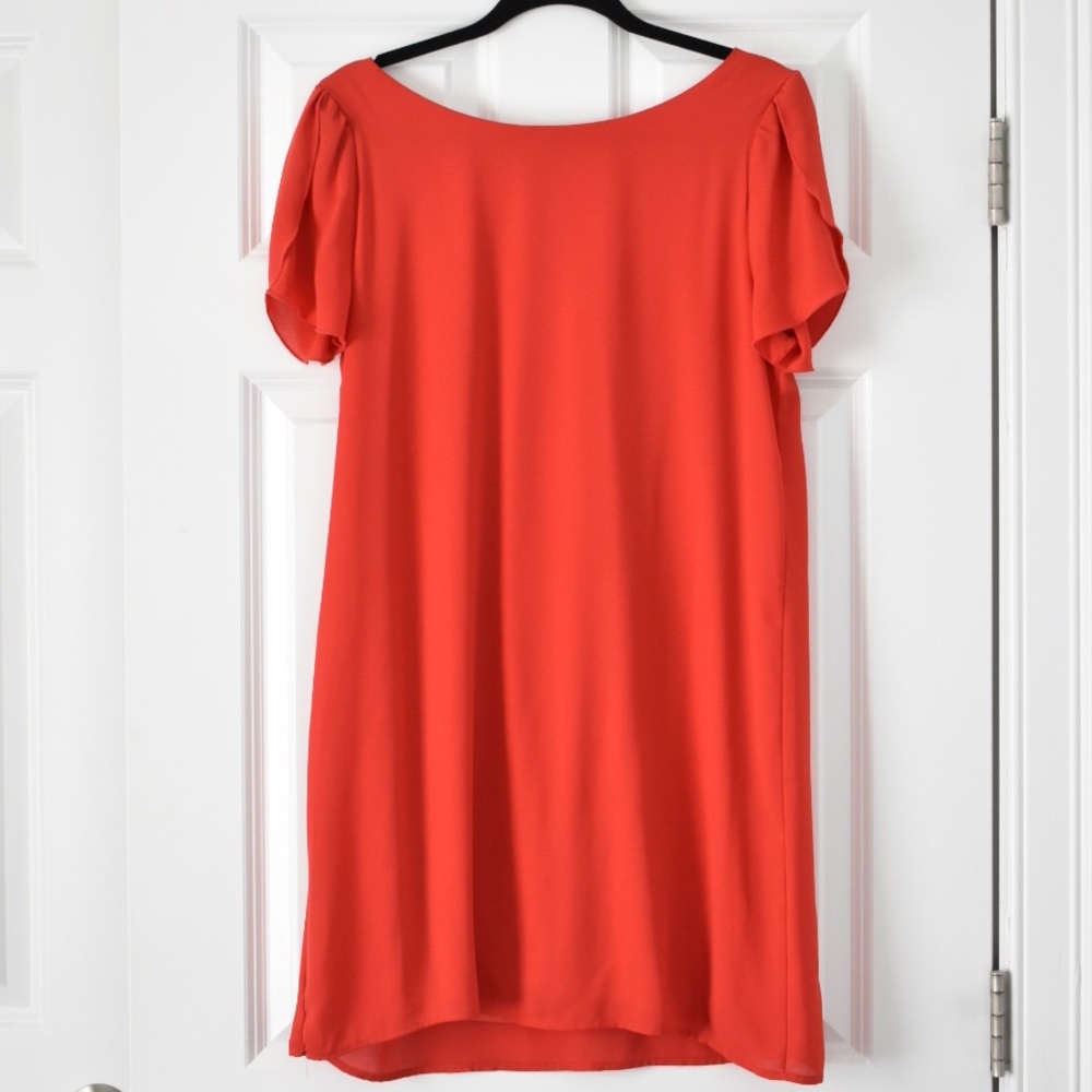 Francesca’s Shift Dress